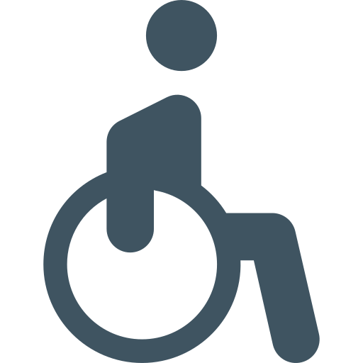 disability icon